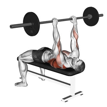 Barbell Pullover To Bench Press - How To, Muscles Worked, Form Cues ...