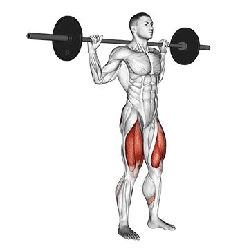 Narrow Position Barbell Narrow-Stance Squat - How To, Muscles Worked, Form Cues ...