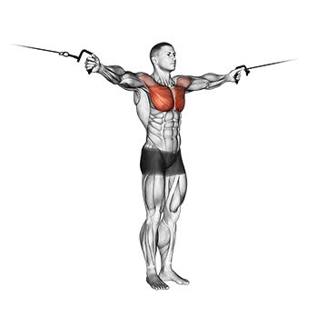 Cable Crossover - How To, Muscles Worked, Form Cues, Variations | Pumpd