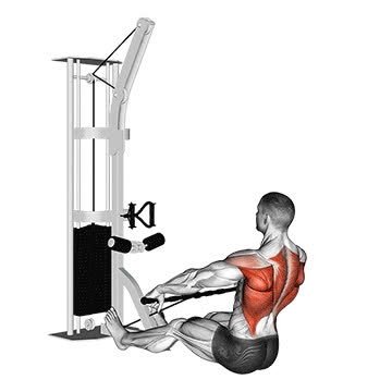 Cable Floor Seated Wide-Grip Row - How To, Muscles Worked, Form Cues ...