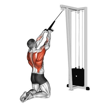 Cable High Row (Kneeling, Rope Attachment) - How To, Muscles Worked ...