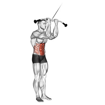 Standing Rope Crunch Cable Standing Crunch - How To, Muscles Worked, Form Cues, Variations ...