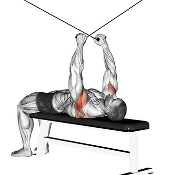 Cable Supine Reverse Fly - How To, Muscles Worked, Form Cues ...