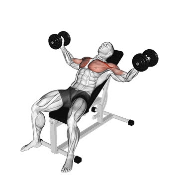 Dumbbell Incline Chest Fly - How To, Muscles Worked, Form Cues ...