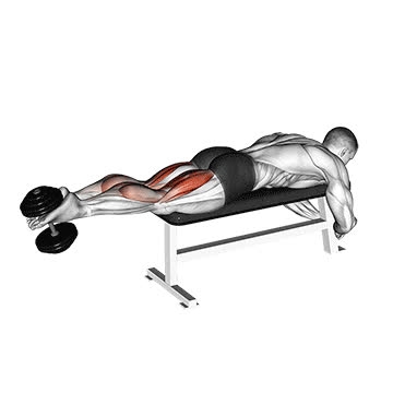 Dumbbell Lying Leg Curl - How To, Muscles Worked, Form Cues, Variations ...