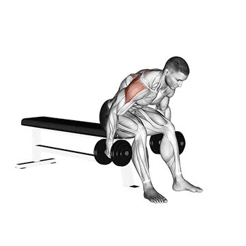 Dumbbell Seated Reverse Fly - How To, Muscles Worked, Form Cues ...