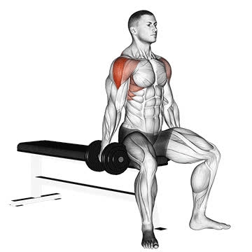 Dumbbell Seated Lateral Raise - How To, Muscles Worked, Form Cues ...