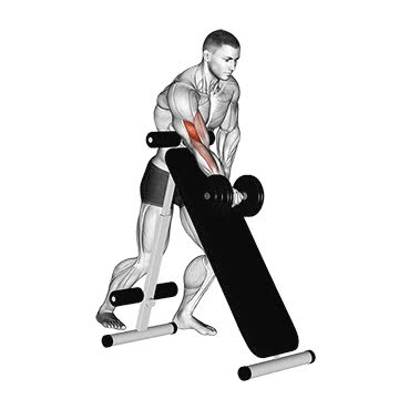 Dumbbell Standing Single-Arm Curl (Over Incline Bench) - How To