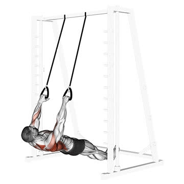 Correct Form Inverted Rows Inverted Row With Suspension Trainer - How To, Muscles Worked, Form ...