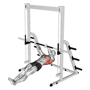 Shith Machine Inverted Row Smith Machine Inverted Row - How To, Muscles Worked, Form Cues ...