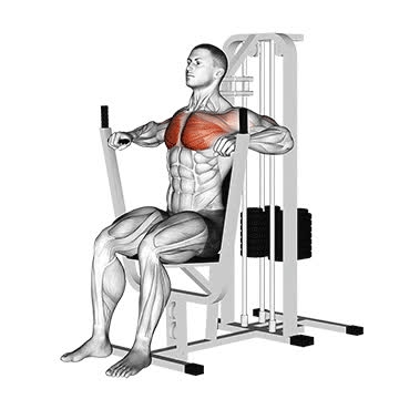 Machine Chest Press - How To, Muscles Worked, Form Cues, Variations | Pumpd