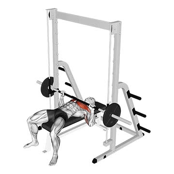 Smith Machine Bench Press - How To, Muscles Worked, Form Cues ...