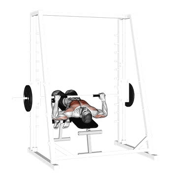 Smith Machine Decline Bench Press - How To, Muscles Worked, Form Cues ...