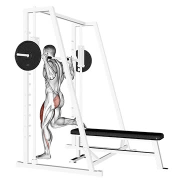 Smith Machine Single-Leg Split Squat - How To, Muscles Worked, Form ...