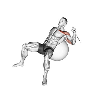 Cable Single-Arm Incline Chest Press (On Exercise Ball) - How To ...