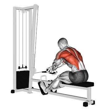 Cable Crossover Seated Row (Rope Attachment) - How To, Muscles Worked ...
