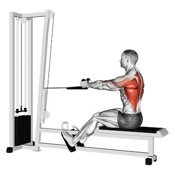 Cable Seated Row (Rope Attachment) - How To, Muscles Worked, Form Cues ...