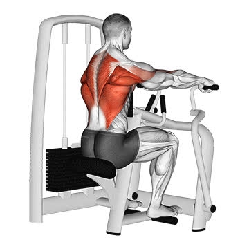 Machine Seated Row - How To, Muscles Worked, Form Cues, Variations | Pumpd