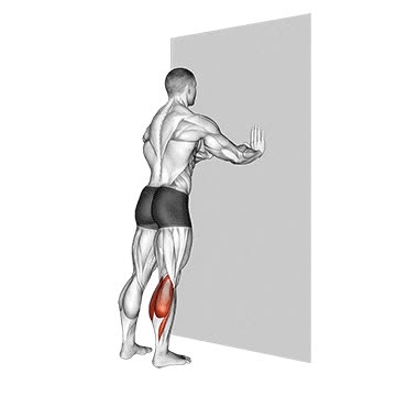 standing-gastrocnemius-wall-calf-stretch-how-to-muscles-worked-form