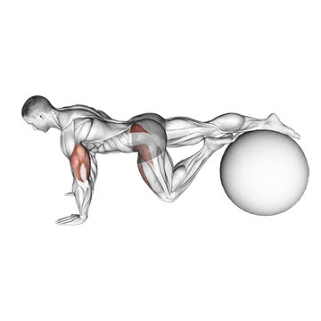 Leg Rotation Workouts Single-Leg Prone Lower Body Rotation (On Exercise Ball) - How To ...
