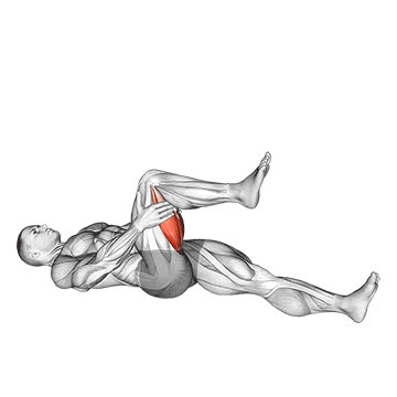 Hamstring Stretch With External Rotation Hamstring Stretch - How To, Muscles Worked, Form Cues, Variations | Pumpd
