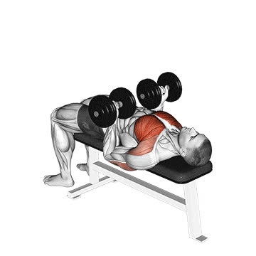 Dumbbell Reverse-Grip Bench Press - How To, Muscles Worked, Form Cues ...