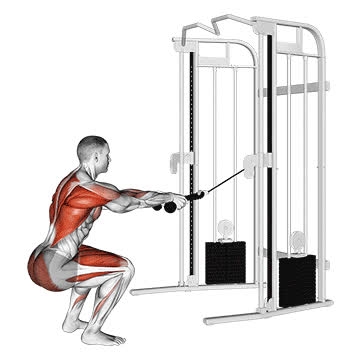 Cable Squat Row (Rope Attachment) - How To, Muscles Worked, Form Cues ...