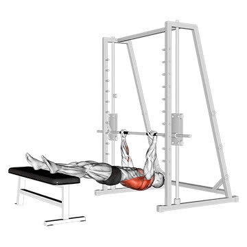 Shith Machine Inverted Row Smith Machine Inverted Row On Bench - How To, Muscles Worked, Form Cues ...