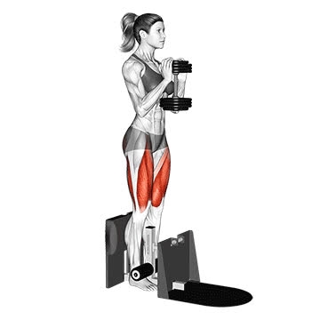 Dumbbell Supported Squat - How To, Muscles Worked, Form Cues ...