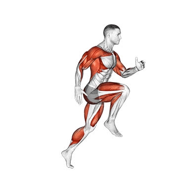 Running On Rim Wheel Run - How To, Muscles Worked, Form Cues, Variations | Pumpd